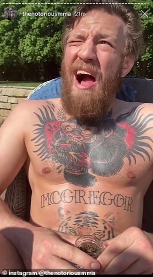 McGregor eating bees on his Instagram. Image: Instagram/Conor McGregor